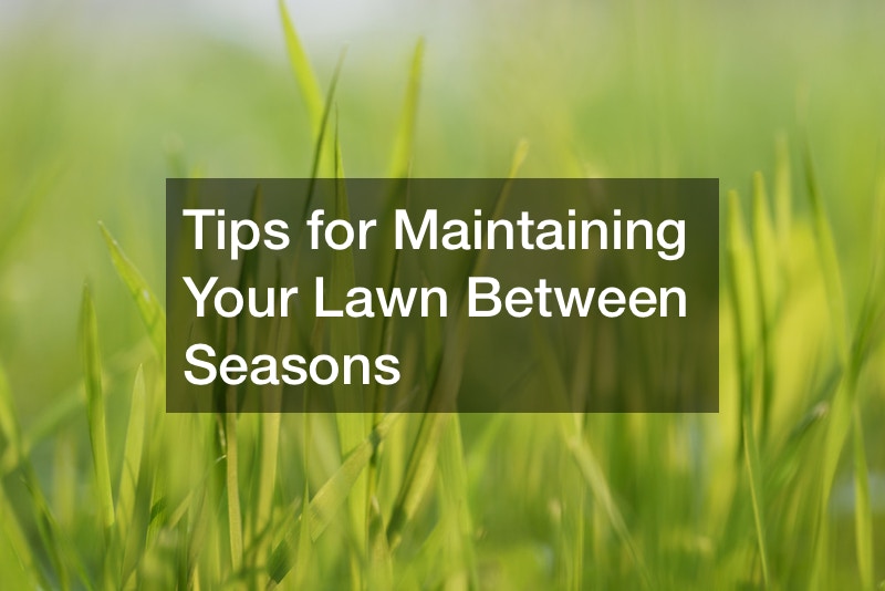 Tips for Maintaining Your Lawn Between Seasons