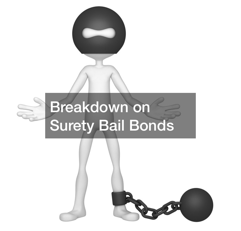 Breakdown on Surety Bail Bonds