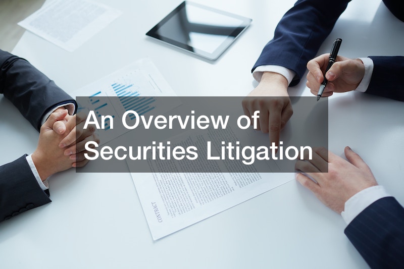 An Overview of Securities Litigation