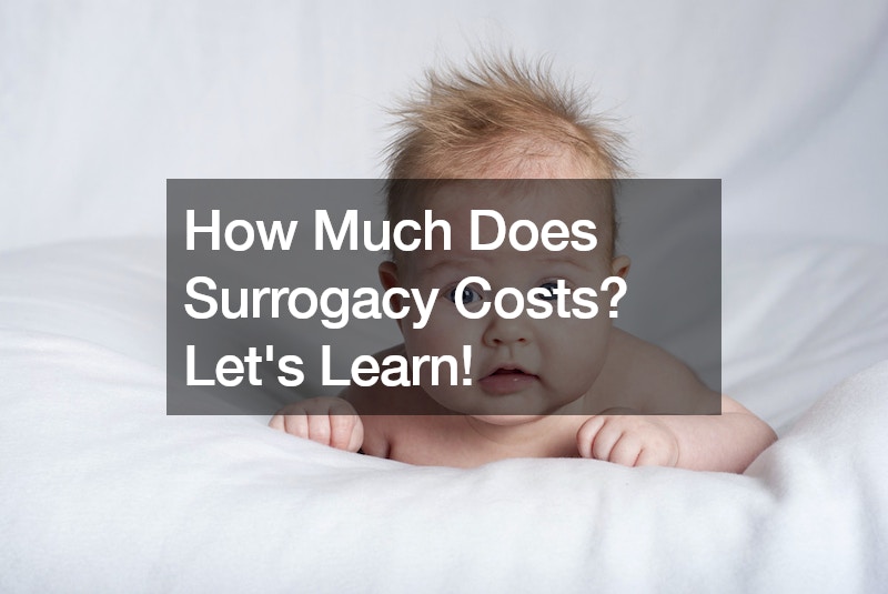 How Much Does Surrogacy Costs? Lets Learn!